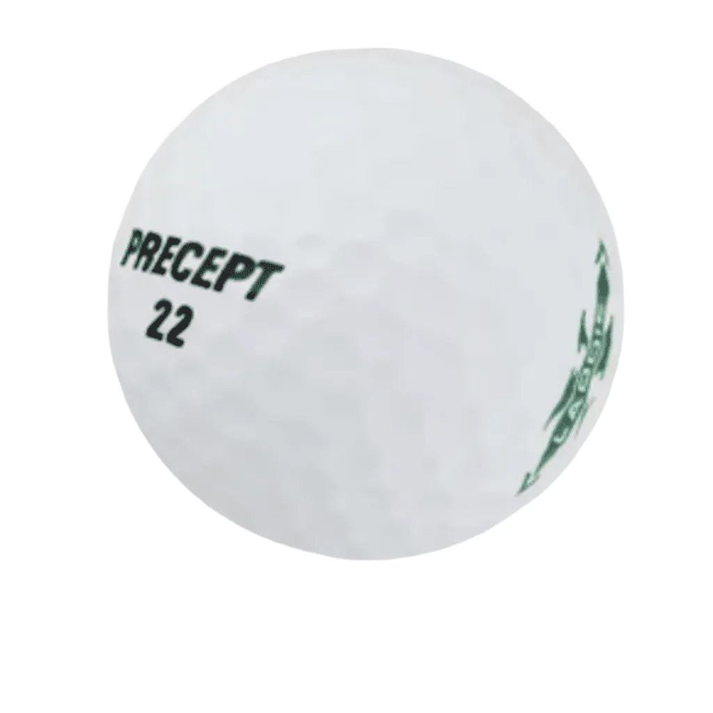 36 Precept Mix Golf Balls - Recycled 5A/4A