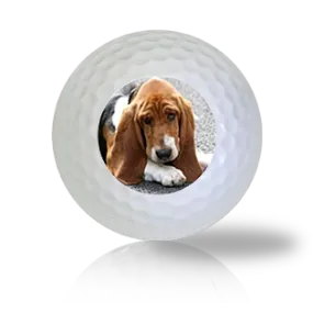 Basset Hound Golf Balls