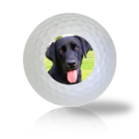 Black Lab Golf Balls