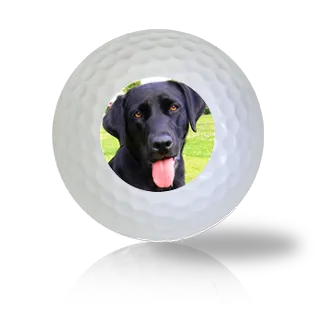 Black Lab Golf Balls