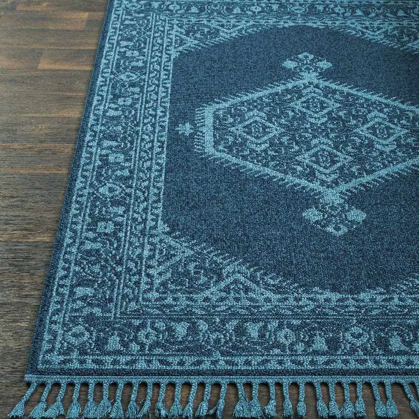 Coesti Updated Traditional Area Rug