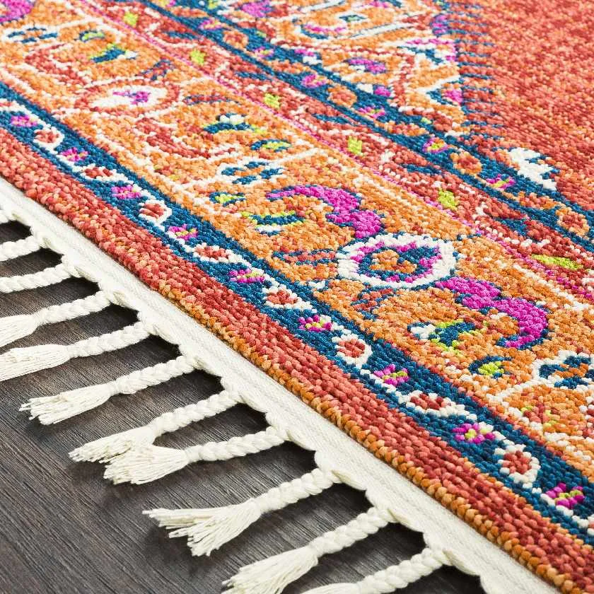 Coesti Updated Traditional Area Rug