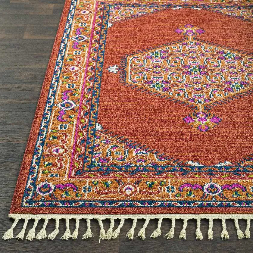 Coesti Updated Traditional Area Rug