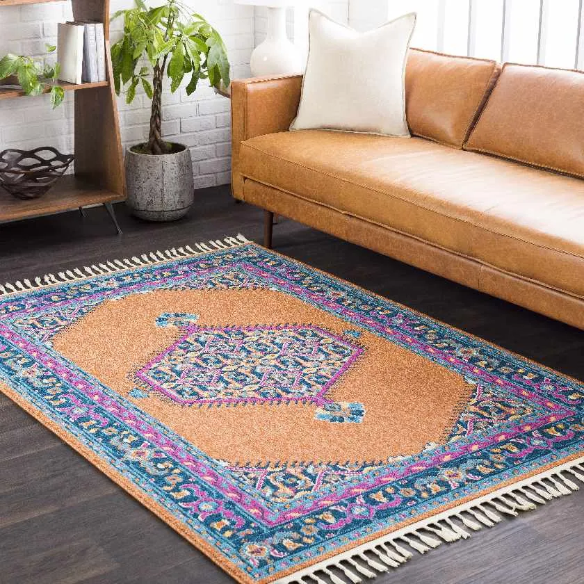 Coesti Updated Traditional Area Rug