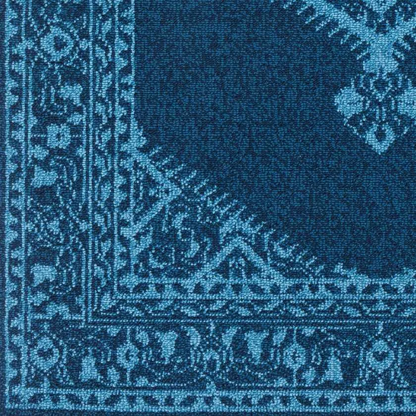 Coesti Updated Traditional Area Rug