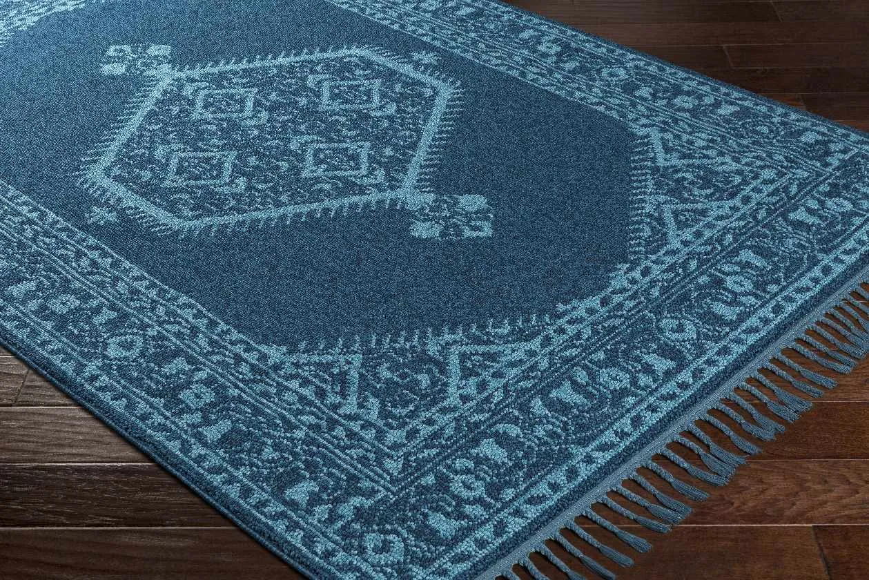 Coesti Updated Traditional Area Rug