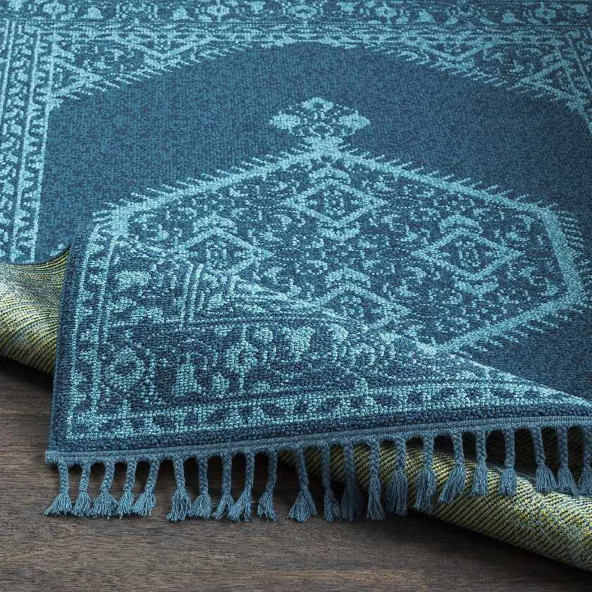 Coesti Updated Traditional Area Rug