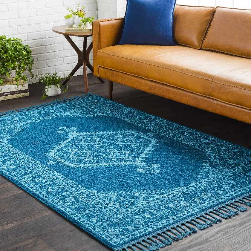 Coesti Updated Traditional Area Rug