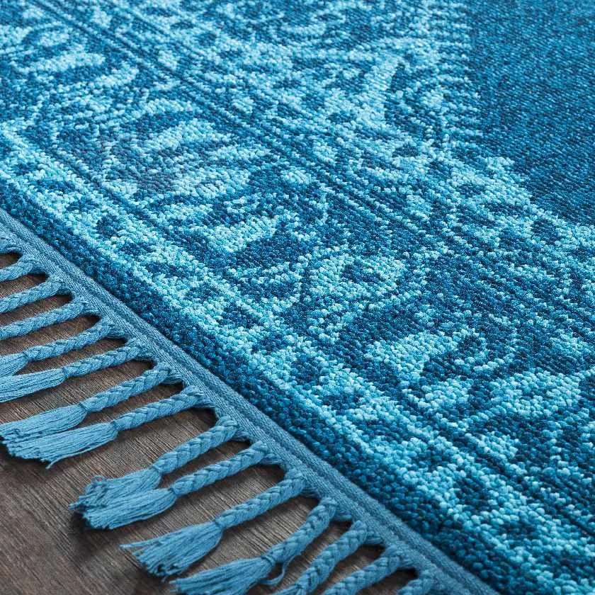 Coesti Updated Traditional Area Rug