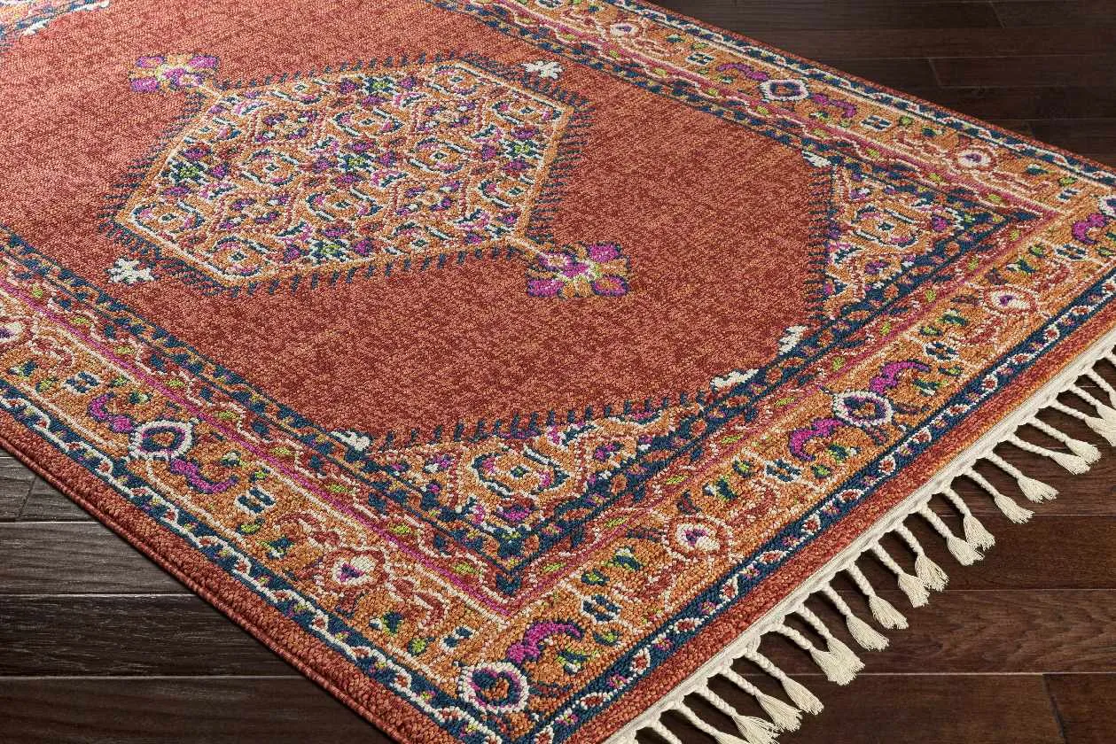 Coesti Updated Traditional Area Rug