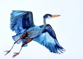 Great Blue Heron in Flight Watercolor