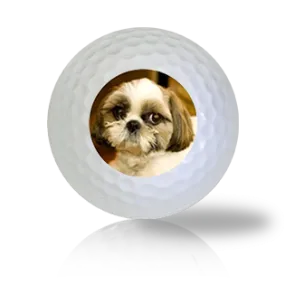 Shih Tzu Golf Balls